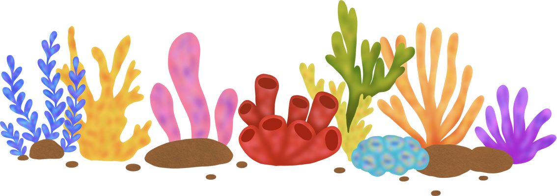 Coral Reef Composition